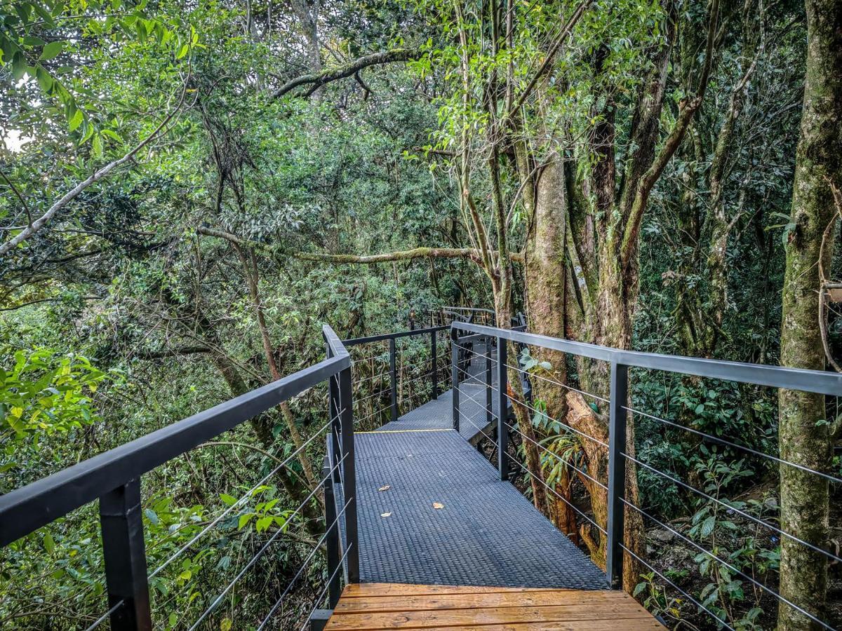 Cloud Forest Lodge By Boeena Monteverde Dış mekan fotoğraf